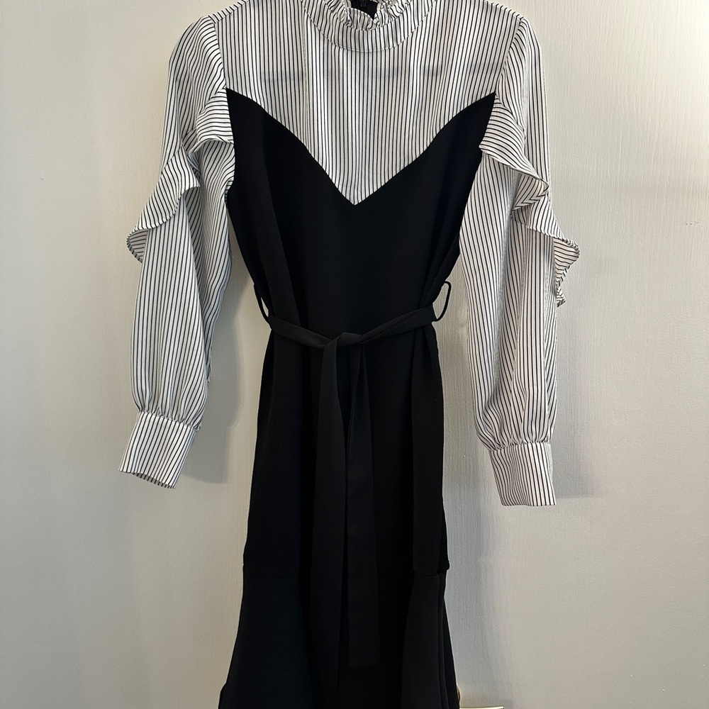 Black and White Bishop Sleeve Mock Neck Dress
